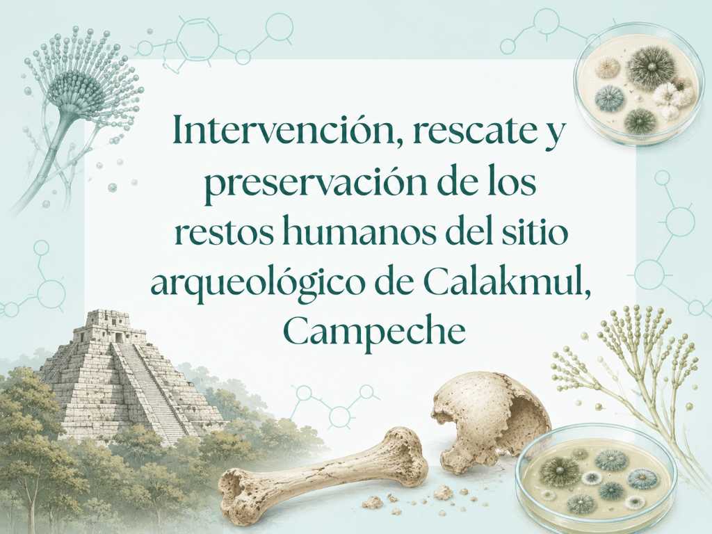 Intervención_rescate_y_preservación_de_restos_humanos_del_sitio_arqueológico_de_calakmul